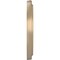 Ekena Millwork PVC Medallion (Canopies up to 5 1/2"), 10"OD x 3 1/2"ID x 1 1/8"P, Metallic Champagne Mist CMP10TRECE - alternate 3